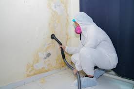  , USA Mold Remediation Pros